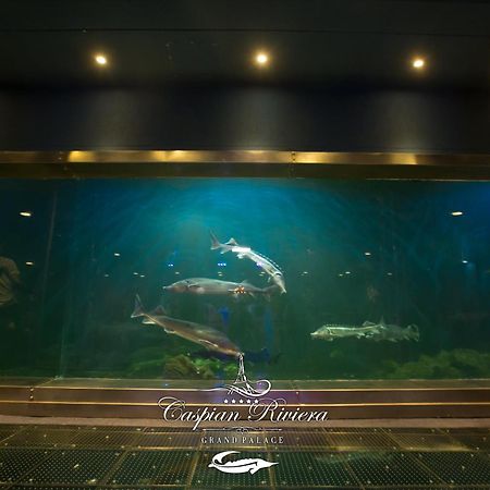Caspian Riviera Grand Palace Hotel Aktau  Exterior photo Dolphins at the aquarium