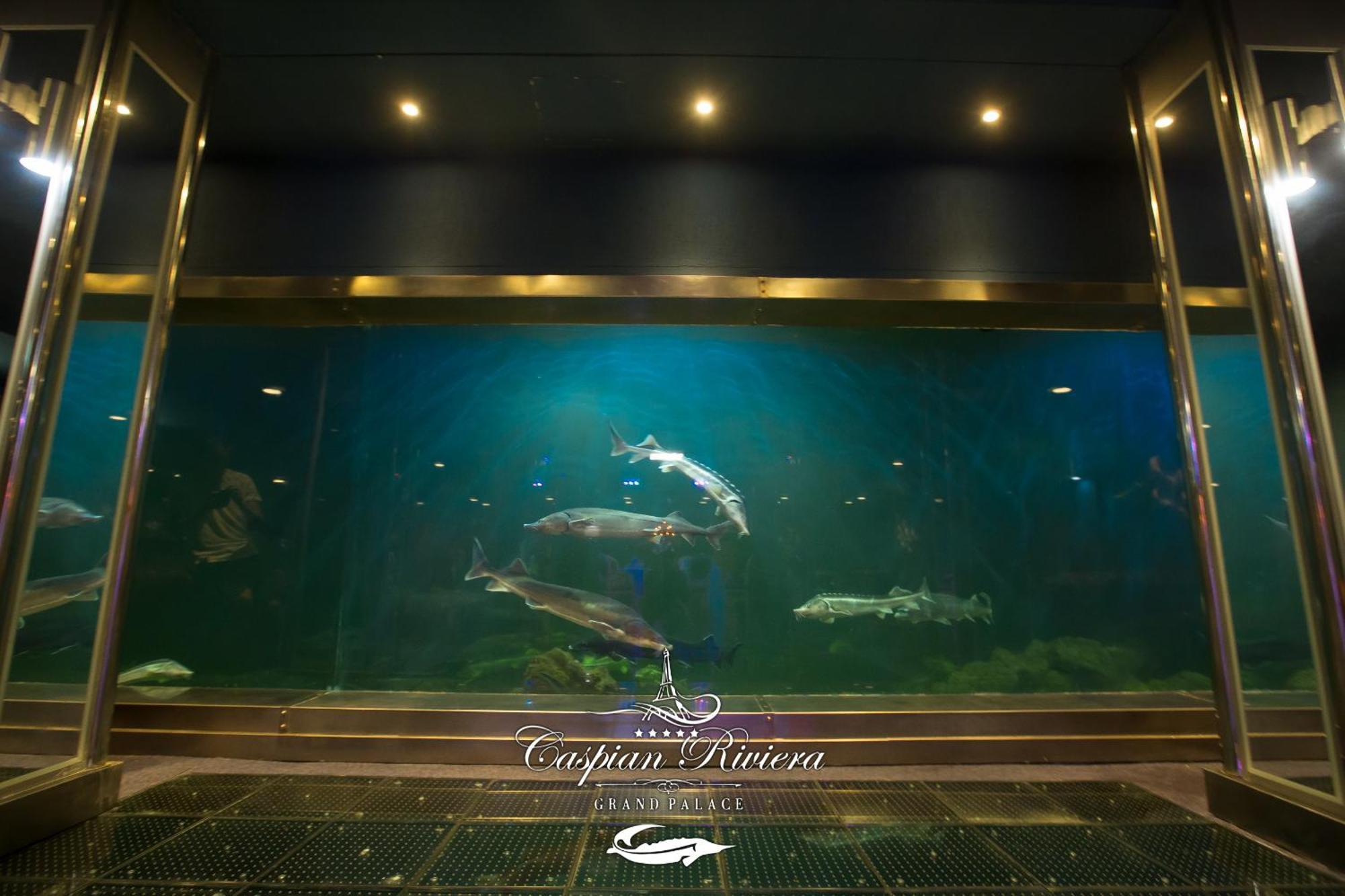 Caspian Riviera Grand Palace Hotel Aktau  Exterior photo Dolphins at the aquarium